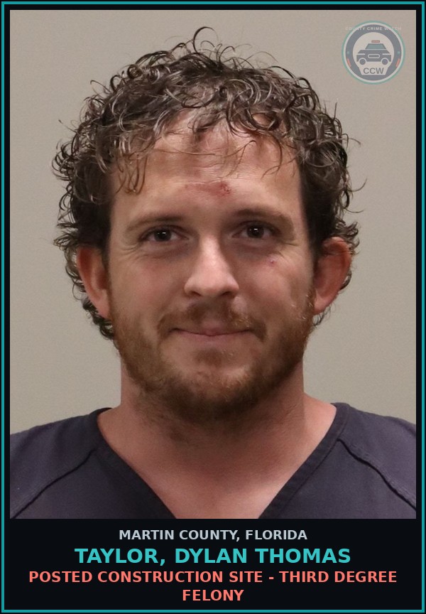Booking mugshot of TAYLOR, DYLAN THOMAS in Martin County