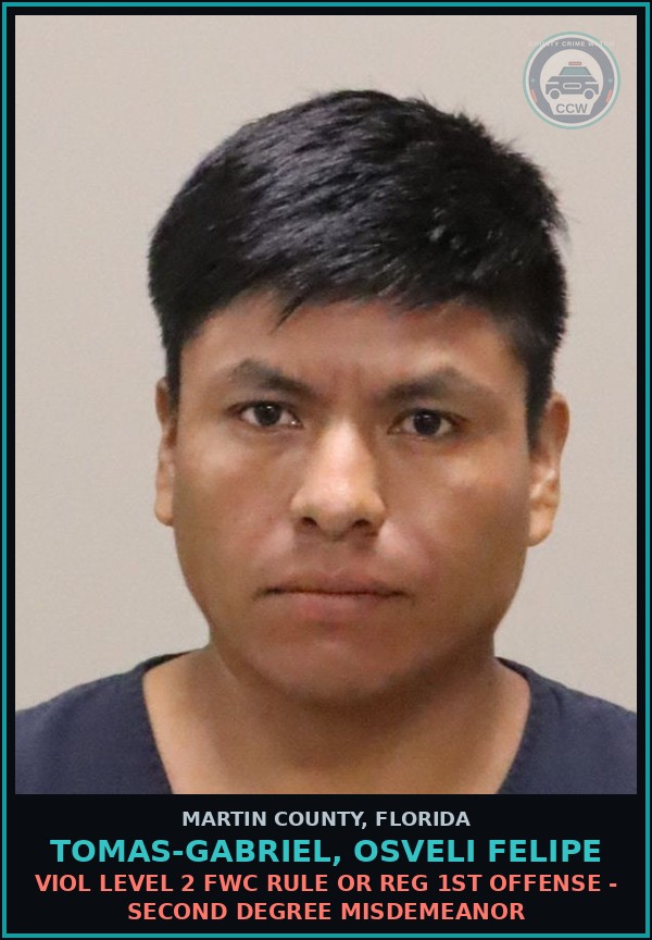 Booking mugshot of TOMAS-GABRIEL, OSVELI FELIPE in Martin County