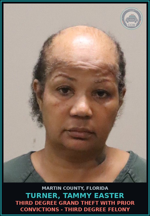 Booking mugshot of TURNER, TAMMY EASTER in Martin County