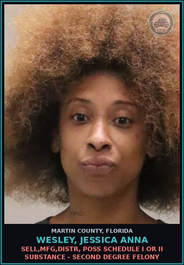 Booking mugshot of WESLEY, JESSICA ANNA in Martin County