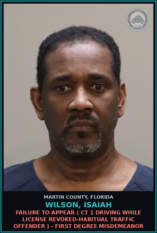 Booking mugshot of WILSON, ISAIAH in Martin County