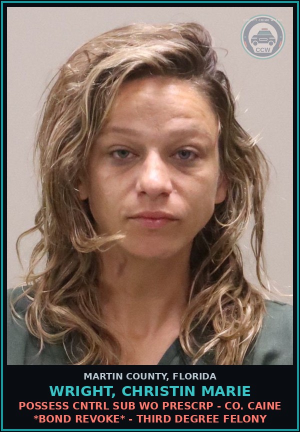 Booking mugshot of WRIGHT, CHRISTIN MARIE in Martin County