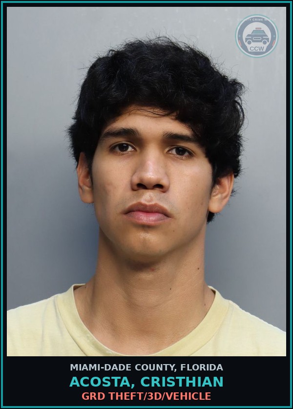 Booking mugshot of ACOSTA, CRISTHIAN in Miami-Dade County