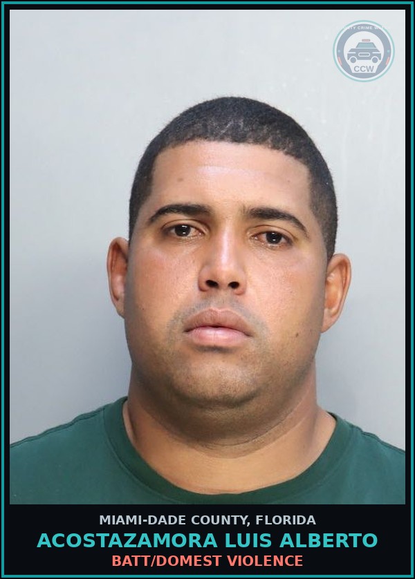 Booking mugshot of ACOSTAZAMORA LUIS  ALBERTO in Miami-Dade County