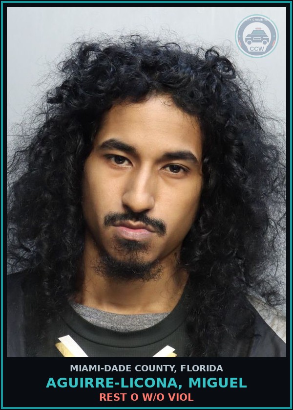 Booking mugshot of AGUIRRE-LICONA, MIGUEL in Miami-Dade County
