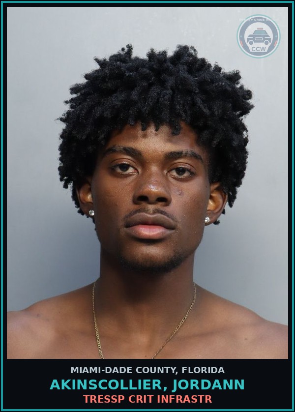Booking mugshot of AKINSCOLLIER, JORDANN in Miami-Dade County