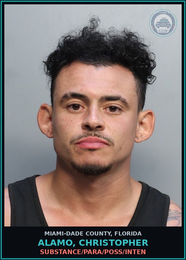 Booking mugshot of ALAMO, CHRISTOPHER in Miami-Dade County