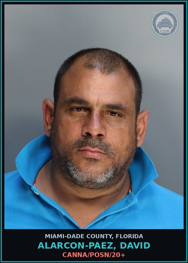 Booking mugshot of ALARCON-PAEZ, DAVID in Miami-Dade County