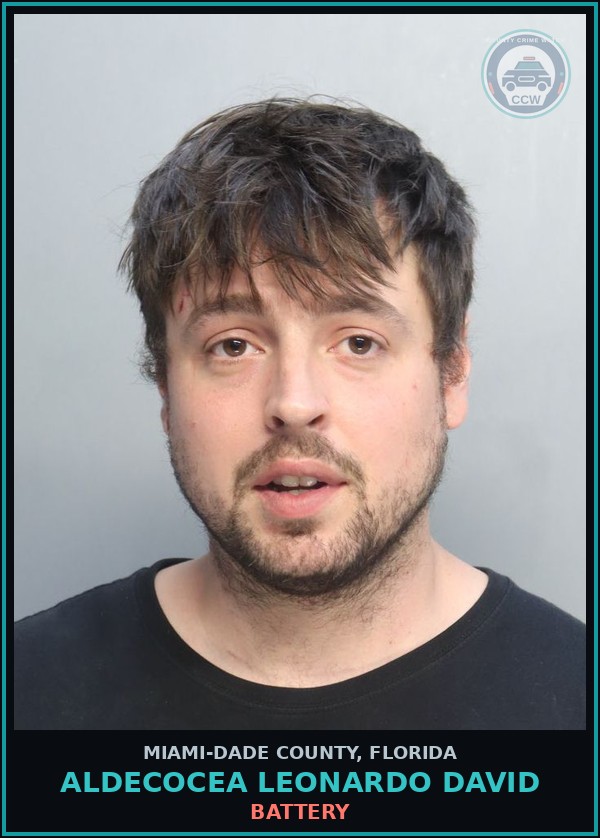 Booking mugshot of ALDECOCEA LEONARDO  DAVID in Miami-Dade County