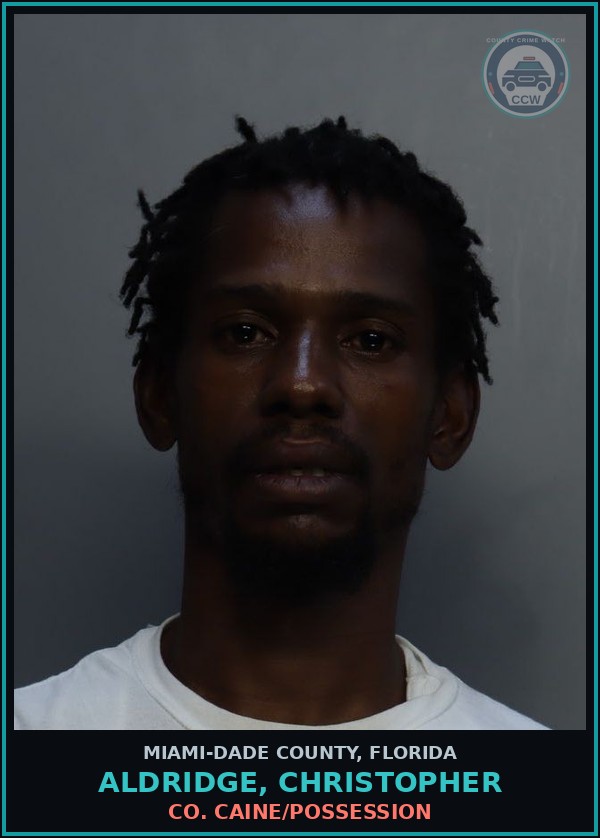Booking mugshot of ALDRIDGE, CHRISTOPHER in Miami-Dade County