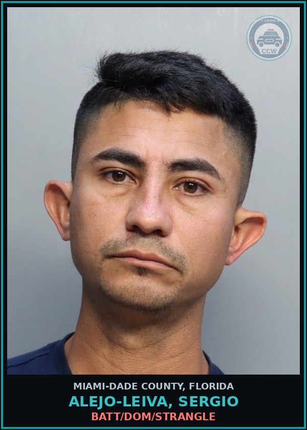 Booking mugshot of ALEJO-LEIVA, SERGIO in Miami-Dade County