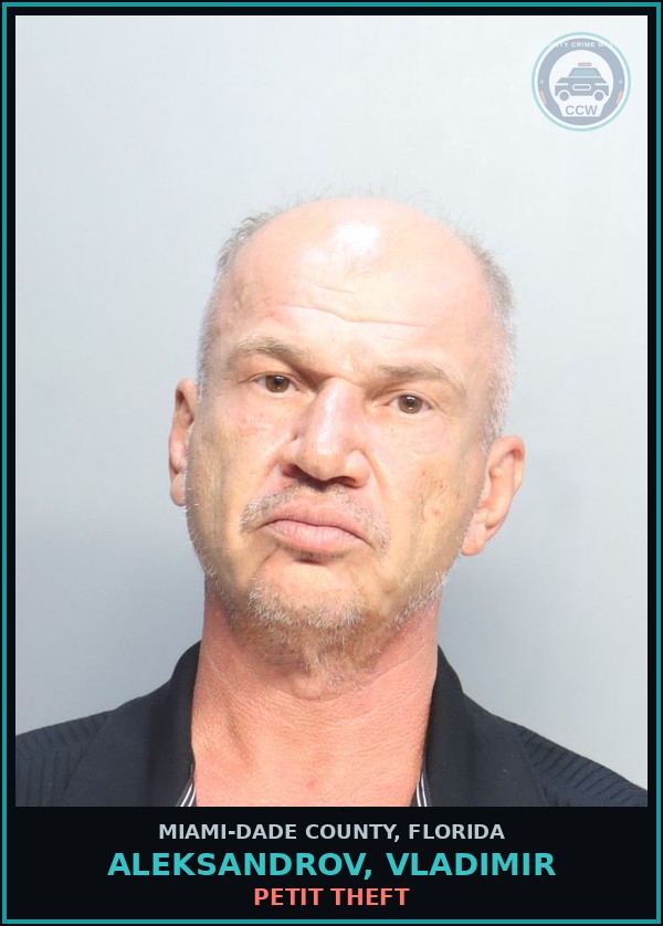 Booking mugshot of ALEKSANDROV, VLADIMIR in Miami-Dade County