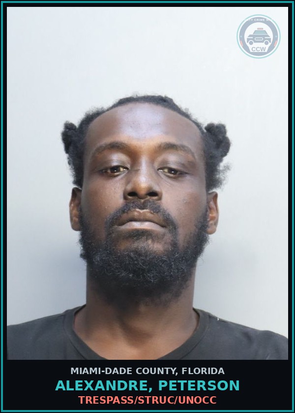 Booking mugshot of ALEXANDRE, PETERSON in Miami-Dade County