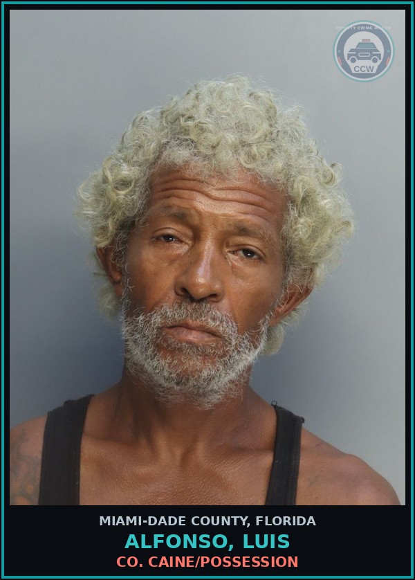 Booking mugshot of ALFONSO, LUIS in Miami-Dade County