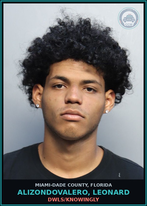 Booking mugshot of ALIZONDOVALERO, LEONARD in Miami-Dade County