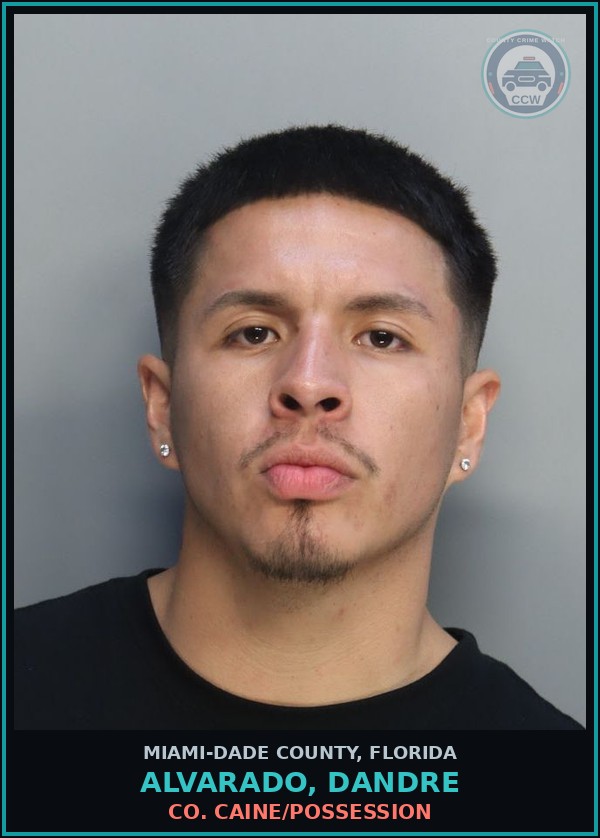 Booking mugshot of ALVARADO, DANDRE in Miami-Dade County