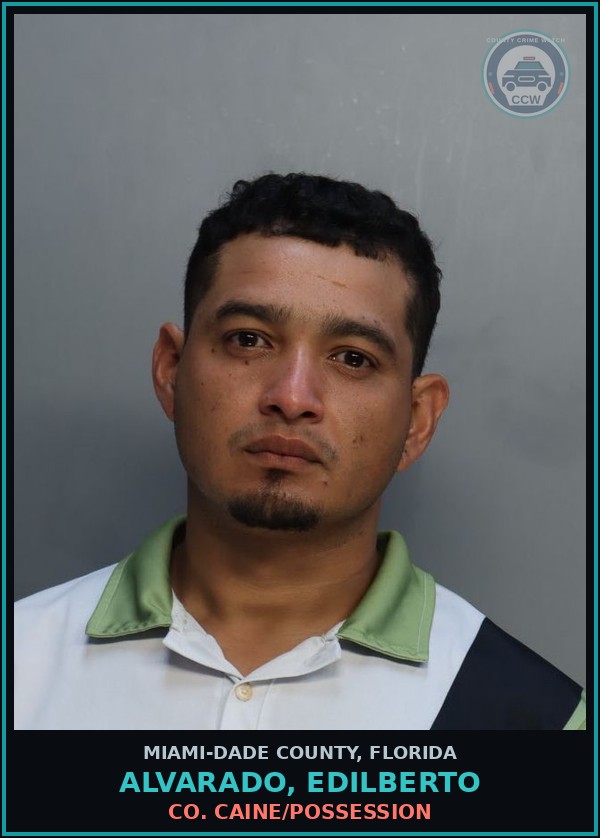 Booking mugshot of ALVARADO, EDILBERTO in Miami-Dade County