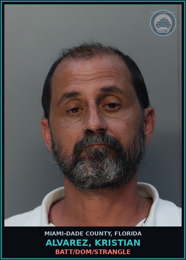 Booking mugshot of ALVAREZ, KRISTIAN in Miami-Dade County
