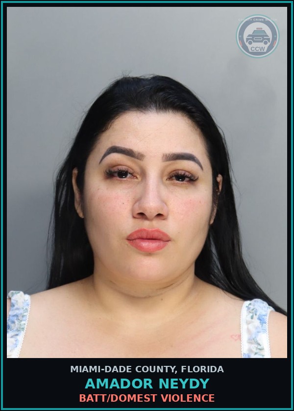Booking mugshot of AMADOR NEYDY in Miami-Dade County