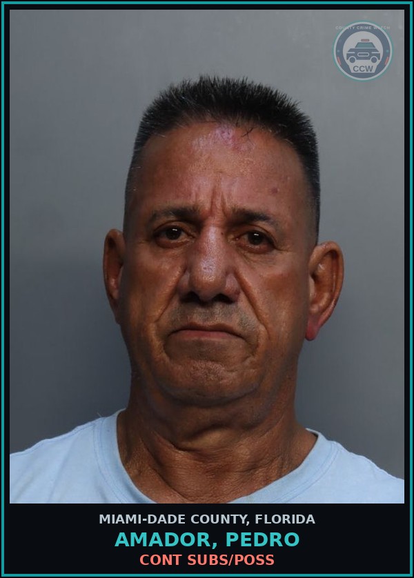 Booking mugshot of AMADOR, PEDRO in Miami-Dade County