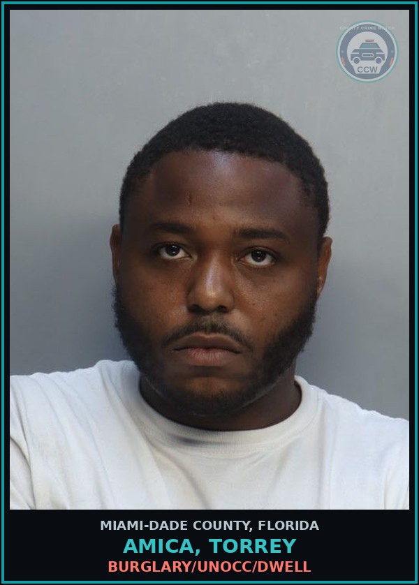 Booking mugshot of AMICA, TORREY in Miami-Dade County