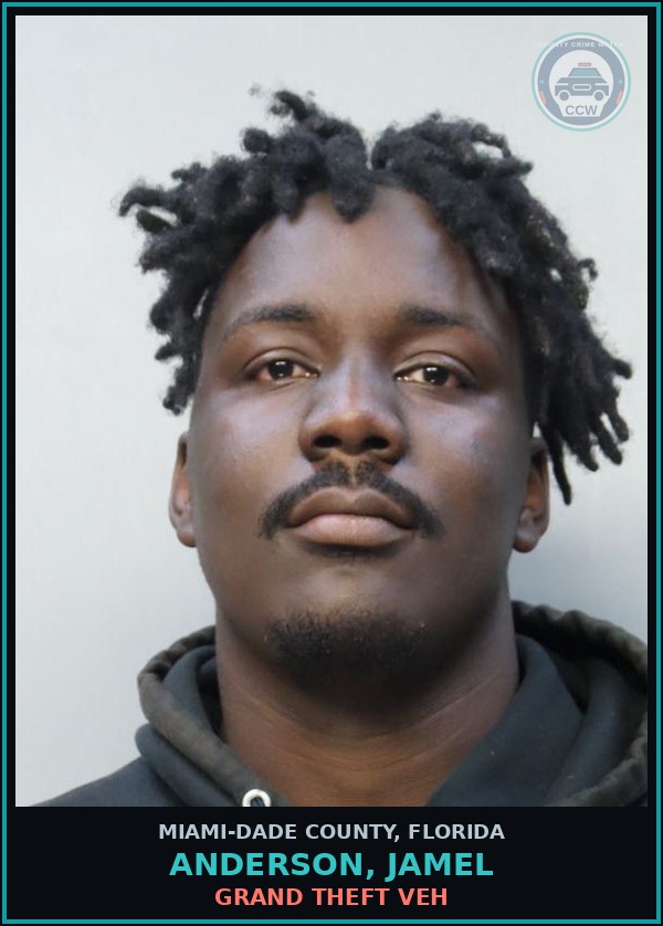 Booking mugshot of ANDERSON, JAMEL in Miami-Dade County