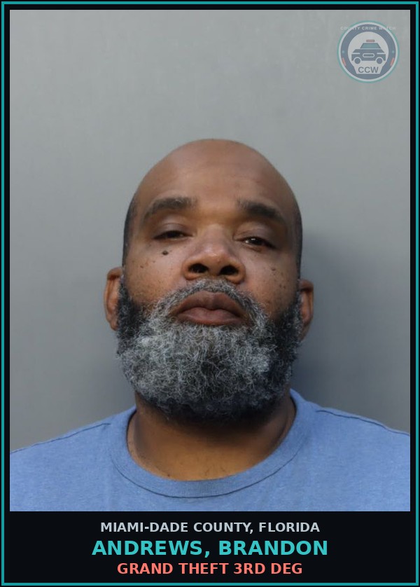 Booking mugshot of ANDREWS, BRANDON in Miami-Dade County