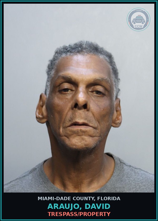 Booking mugshot of ARAUJO, DAVID in Miami-Dade County