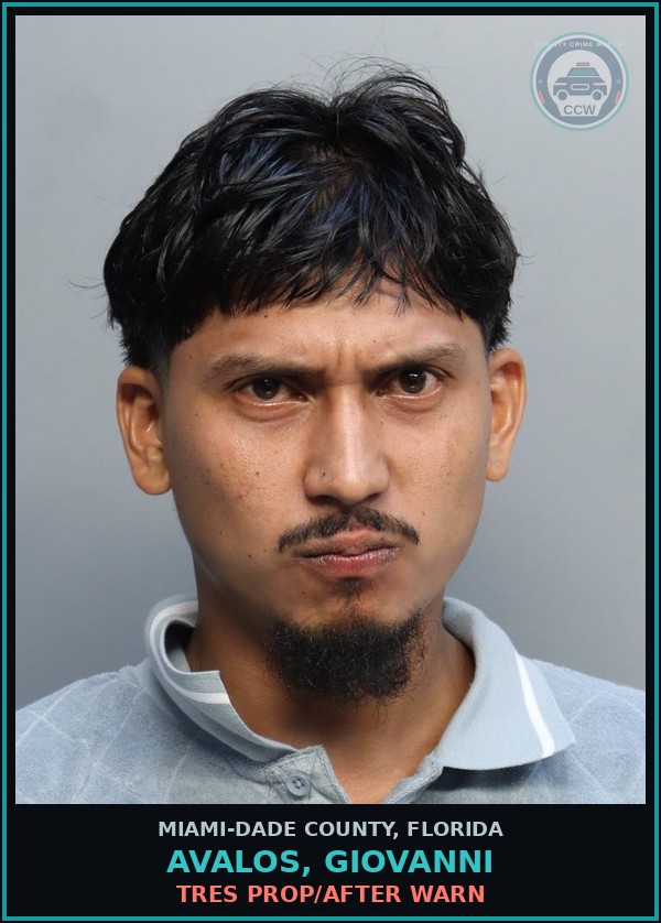Booking mugshot of AVALOS, GIOVANNI in Miami-Dade County