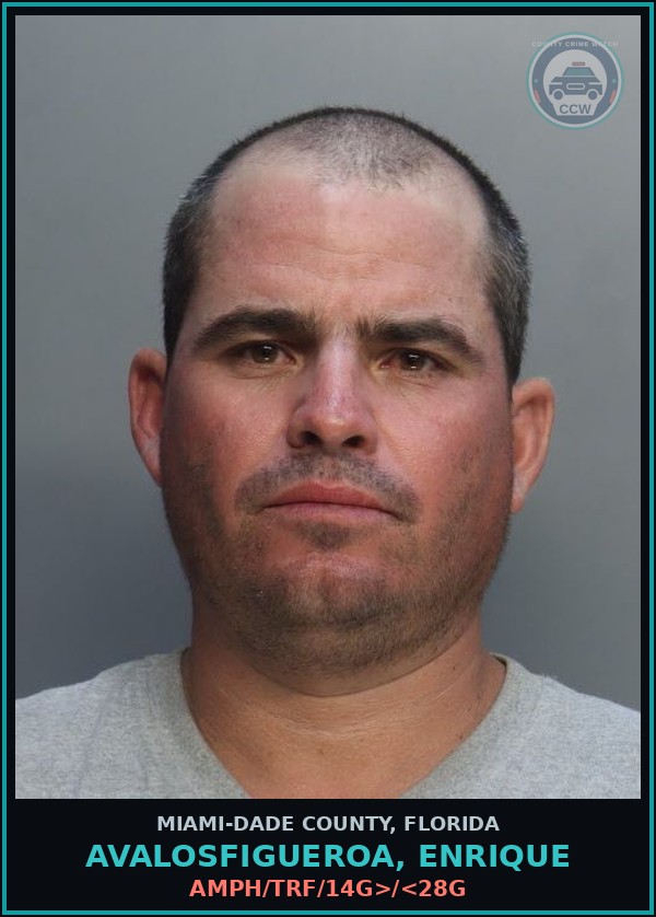 Booking mugshot of AVALOSFIGUEROA, ENRIQUE in Miami-Dade County