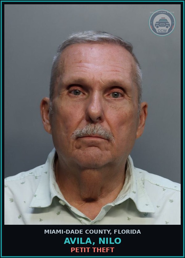 Booking mugshot of AVILA, NILO in Miami-Dade County