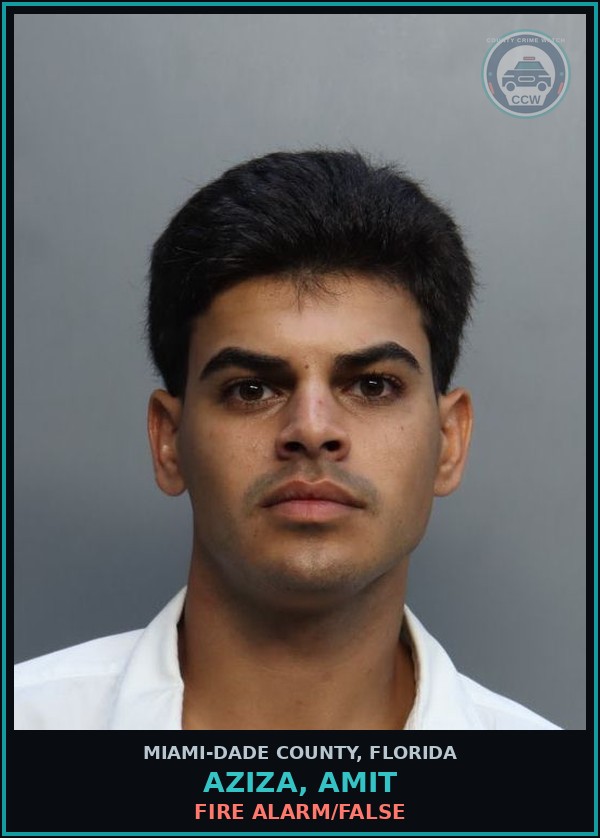 Booking mugshot of AZIZA, AMIT in Miami-Dade County