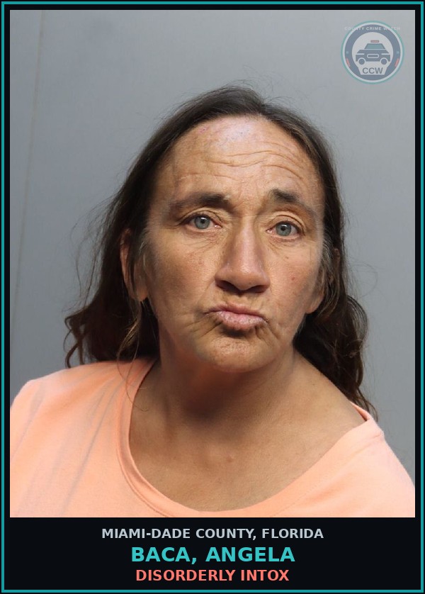 Booking mugshot of BACA, ANGELA in Miami-Dade County