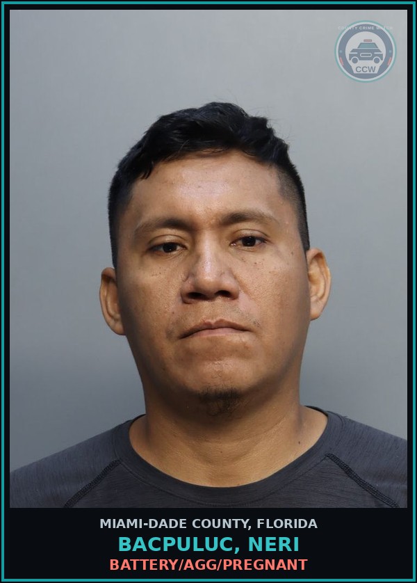 Booking mugshot of BACPULUC, NERI in Miami-Dade County