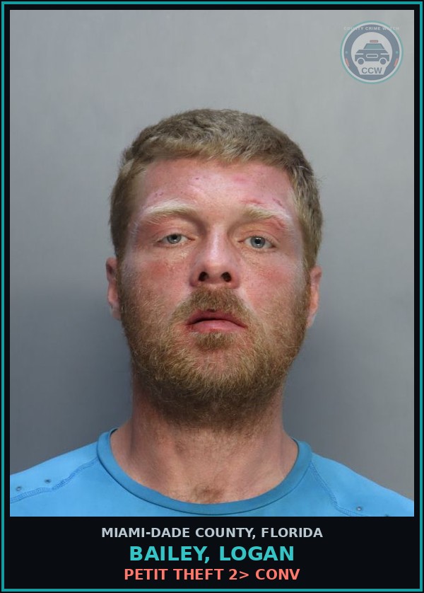 Booking mugshot of BAILEY, LOGAN in Miami-Dade County