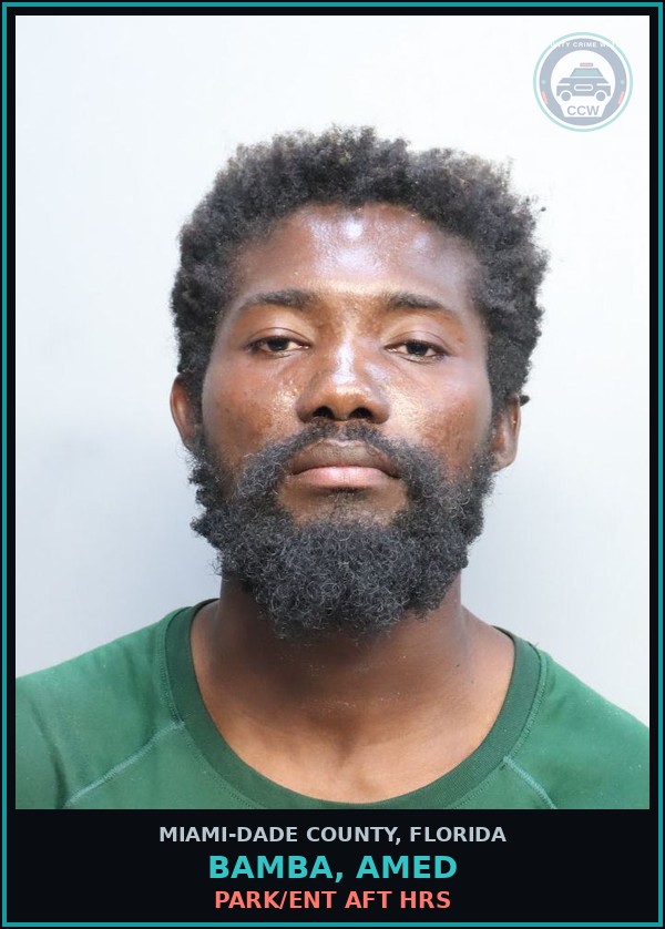 Booking mugshot of BAMBA, AMED in Miami-Dade County