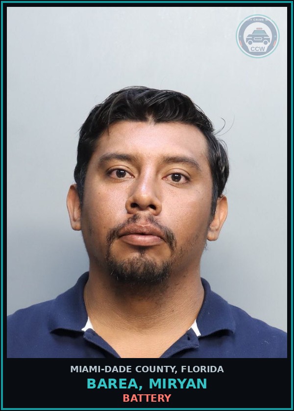 Booking mugshot of BAREA, MIRYAN in Miami-Dade County
