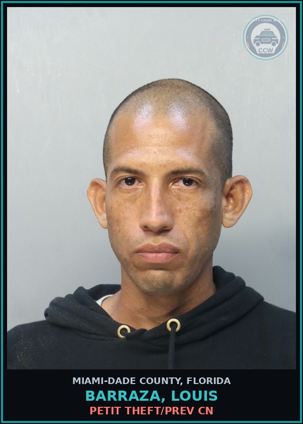 Booking mugshot of BARRAZA, LOUIS in Miami-Dade County