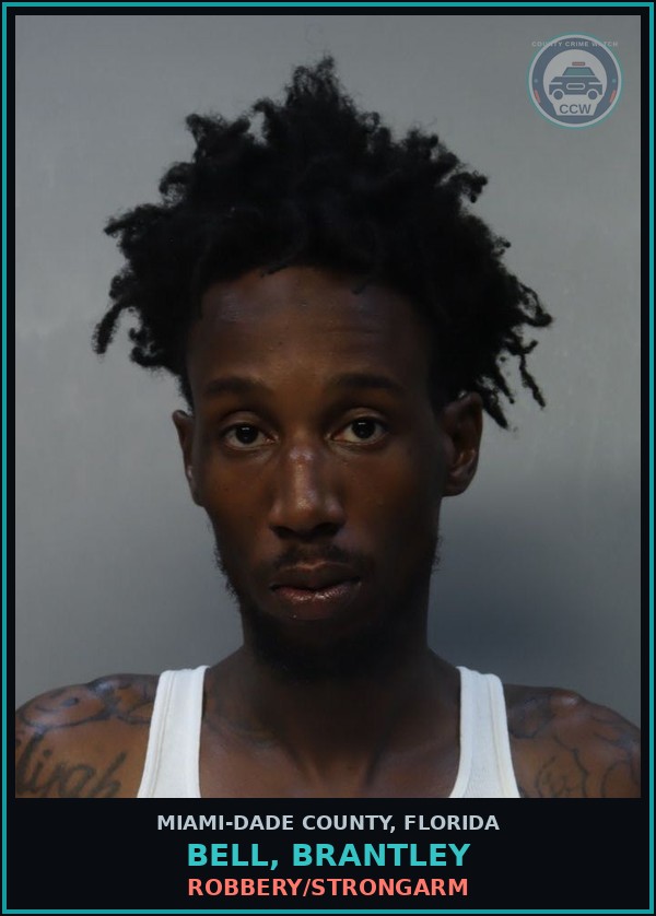 Booking mugshot of BELL, BRANTLEY in Miami-Dade County