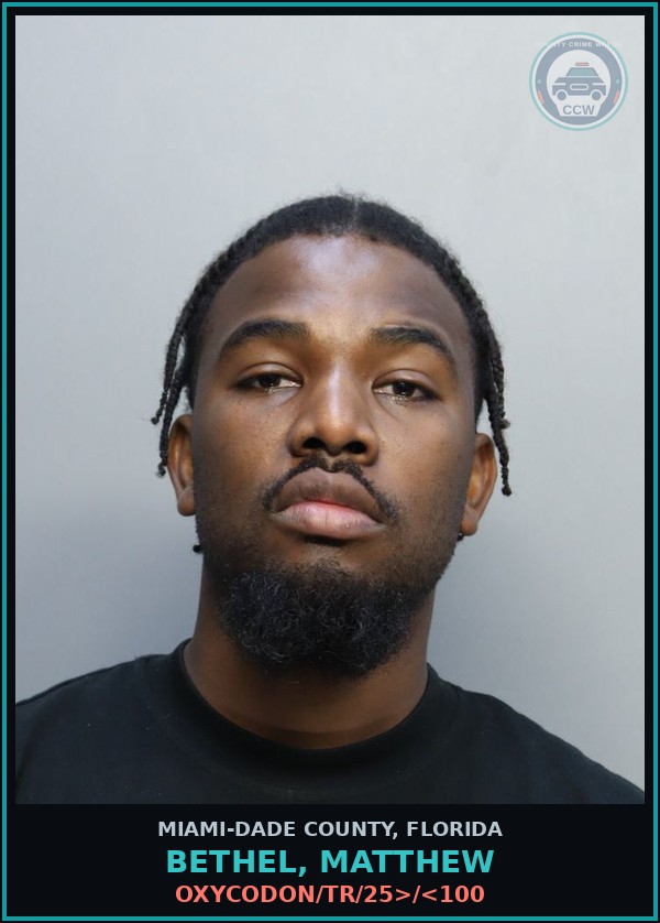 Booking mugshot of BETHEL, MATTHEW in Miami-Dade County
