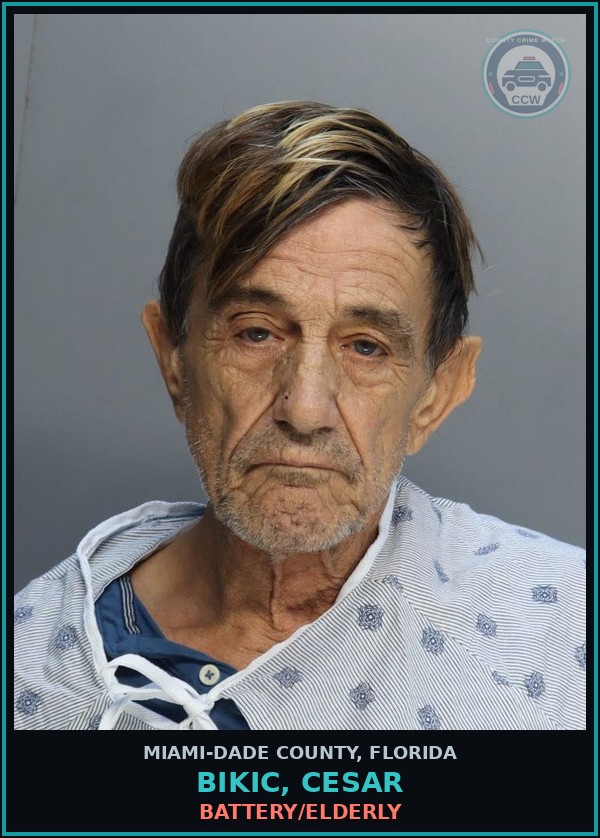 Booking mugshot of BIKIC, CESAR in Miami-Dade County