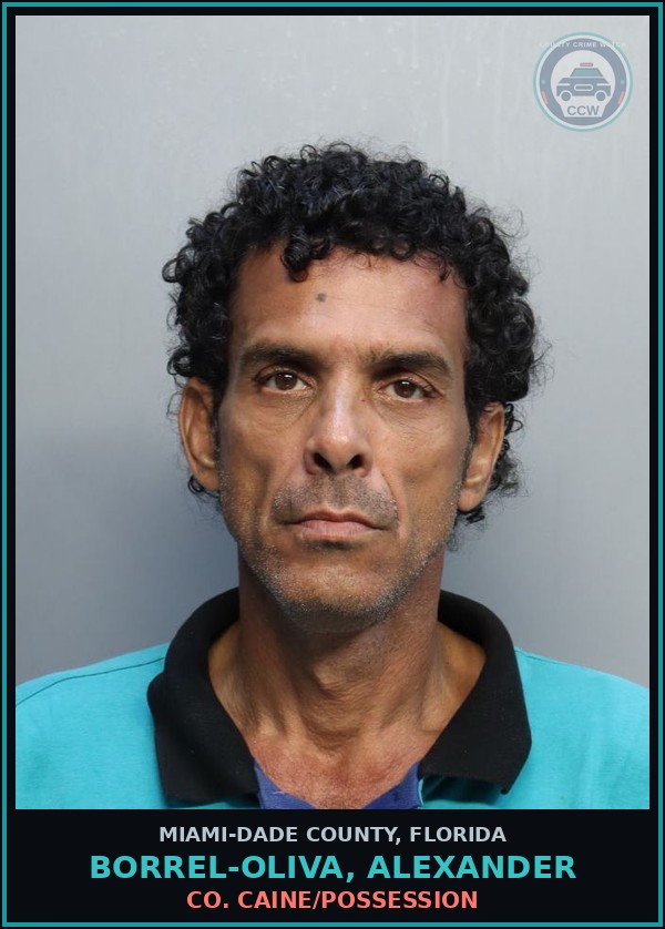 Booking mugshot of BORREL-OLIVA, ALEXANDER in Miami-Dade County