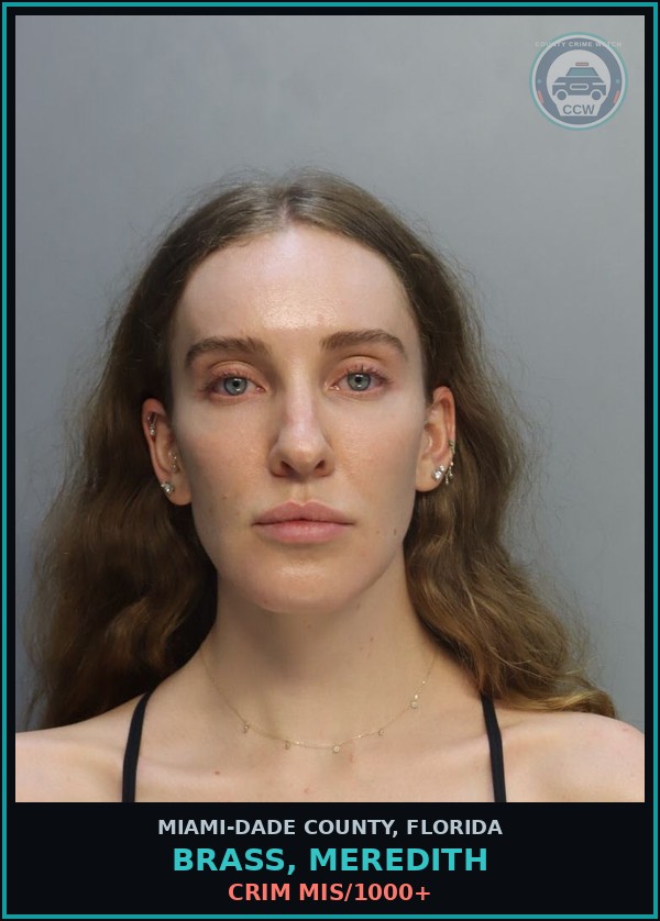 Booking mugshot of BRASS, MEREDITH in Miami-Dade County