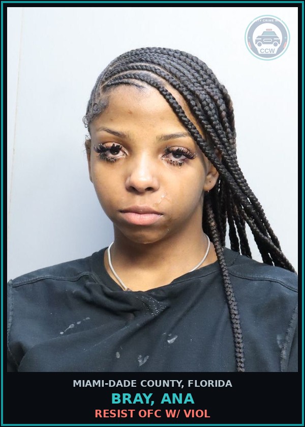 Booking mugshot of BRAY, ANA in Miami-Dade County