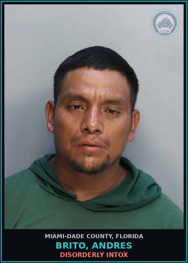 Booking mugshot of BRITO, ANDRES in Miami-Dade County