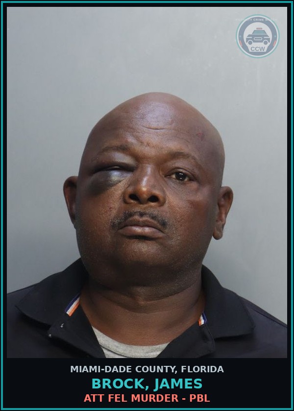 Booking mugshot of BROCK, JAMES in Miami-Dade County