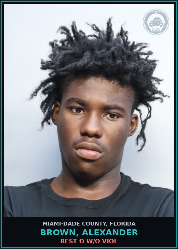 Booking mugshot of BROWN, ALEXANDER in Miami-Dade County
