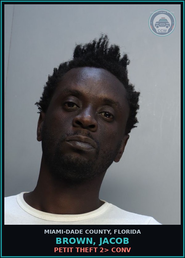 Booking mugshot of BROWN, JACOB in Miami-Dade County