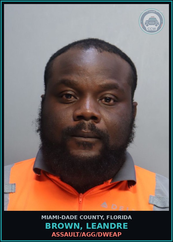 Booking mugshot of BROWN, LEANDRE in Miami-Dade County