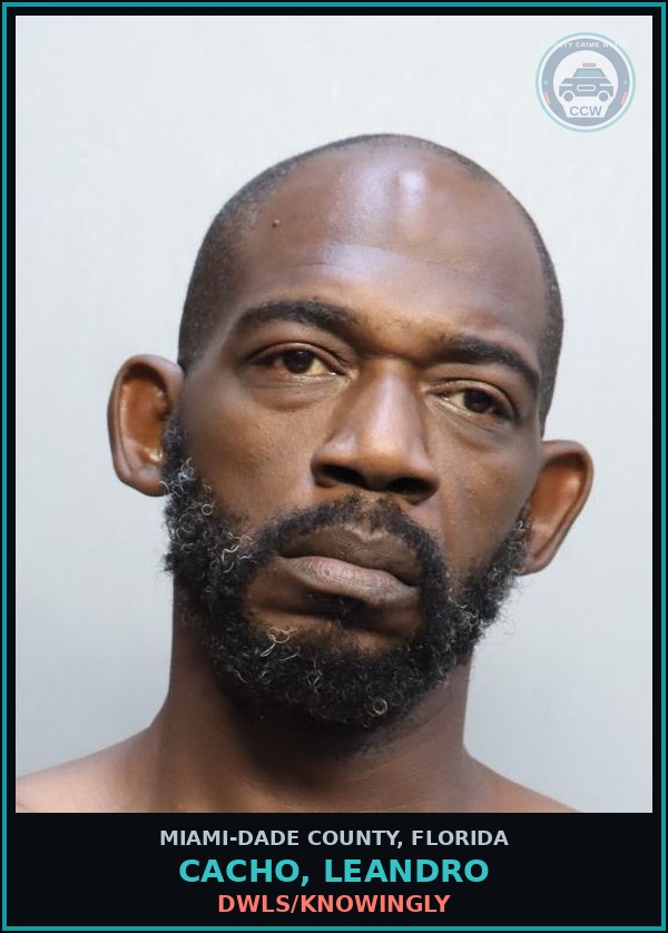 Booking mugshot of CACHO, LEANDRO in Miami-Dade County